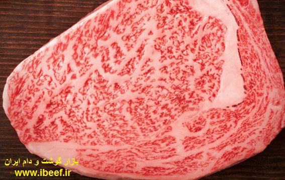 گوشت واگیو در ایران - خرید گوشت مرغوب و درجه یک گاو واگیو