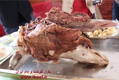 گوشت کله گاو - فروش عمده گوشت کله گاو