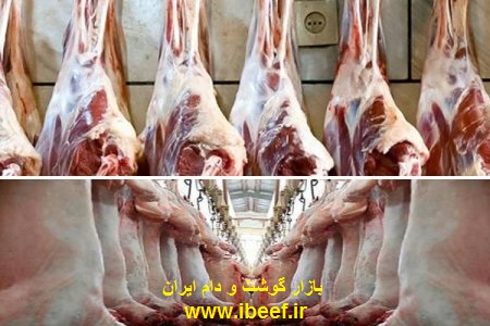 گوشت گوساله در تهران 1 - قیمت گوشت گوساله در تهران