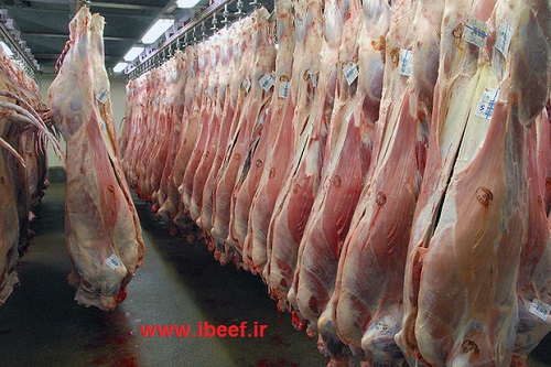 گوشت گوساله - قیمت گوشت در بازار امروز