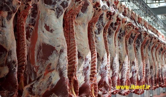 گوشت هندی - فروش گوشت هندی ارزان