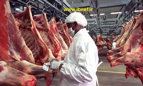 گوشت وارداتی - فروش گوشت وارداتی هندی