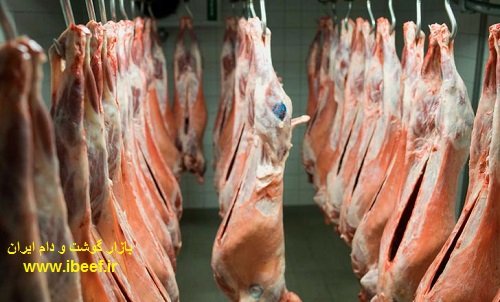 گوشت گوسفندی وارداتی - قیمت گوشت گوسفندی در کشتارگاه
