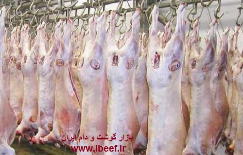 گوشت گوسفندی از استرالیا - واردات گوشت گوسفندی از استرالیا و گرجستان